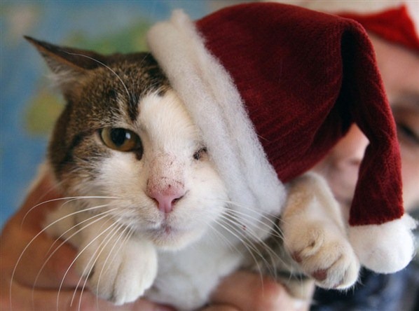 [Cute-Christmas-Creatures-01%255B2%255D.jpg]