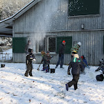 Bevers_in_de_sneeuw_2012_011.jpg