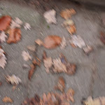 IMG_4788.JPG