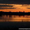 Margaret Cahill - Lough Boora Sunset.jpg