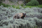 DSC_2170.JPG