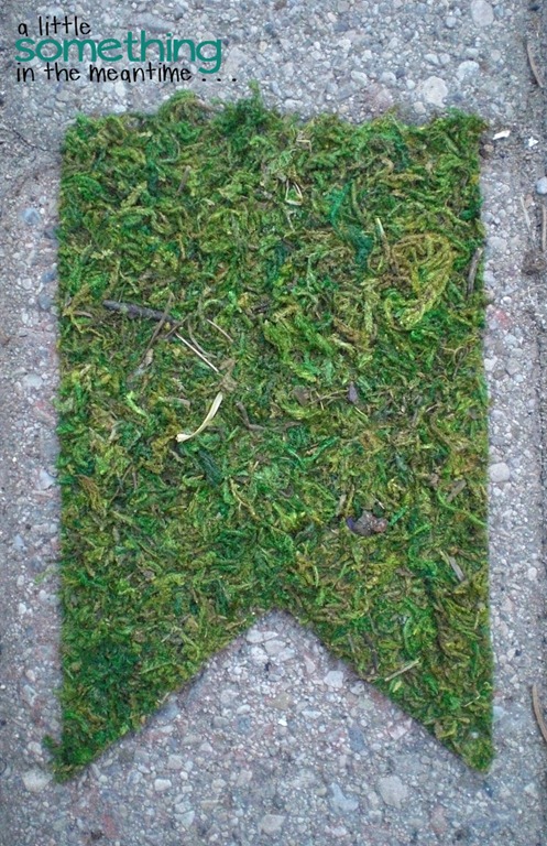 [Sheet%2520Moss%2520Pennant%2520WM%255B5%255D.jpg]
