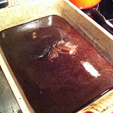 IMG_1883.JPG