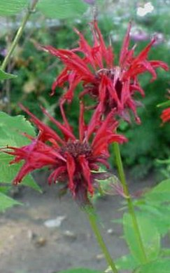 [image%255B5%255D.png]