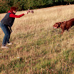 _MG_5622.JPG