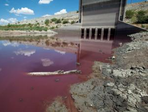 A view of O.C. Fisher Lake shows an area of red-tinted water and dead fish by the dam's flood gate Wednesday, Aug. 3, 2011, in San Angelo, Texas. A bacteria called Chromatiaceae has turned the 1-to-2 acres of lake water remaining the color red. A combination of the long periods of 100 plus degree days and the lack of rain in the drought -stricken region has dried up the lake that once spanned over 5400 acres. Photo: Tony Gutierrez / AP 