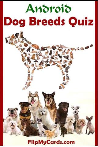 Dog Breed Picture Quiz