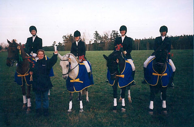Allsvenskan 1995