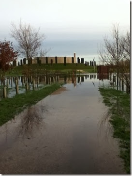 Flood at Arboretum