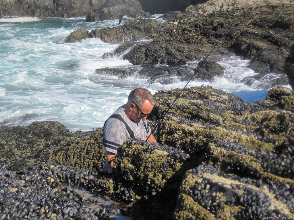 [IMG_1209%255B3%255D.jpg]