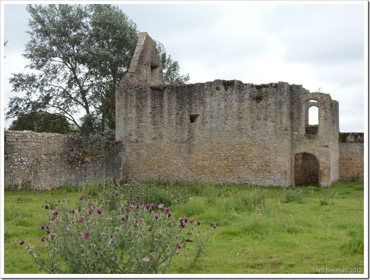 SAM_1639 Godstow Abbey SAM_1639 Godstow Abbey