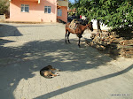DSCF3639.jpg