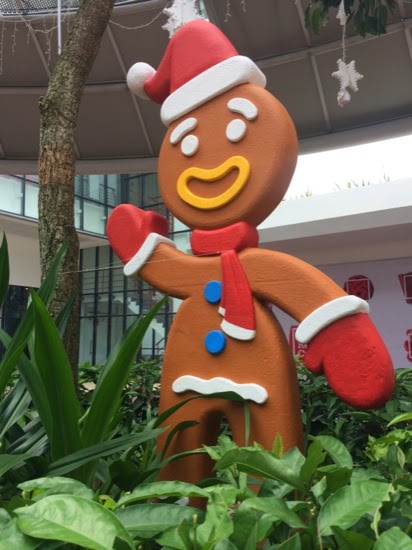 IMG_5414.jpg Giant Ginger bread man