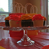IMG_4164.jpg