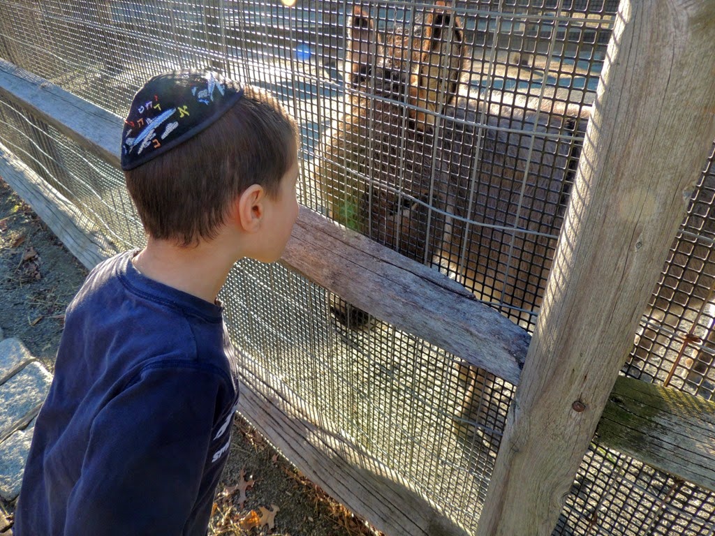 [DSCN1050%255B3%255D.jpg]