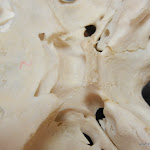 skull_sella_turcica_unlabeled.JPG