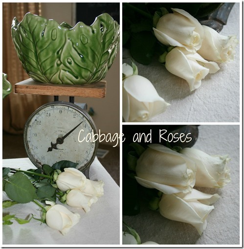 cabbage & roses_thumb[2]