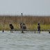 P1060060