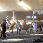 DSCF2905.JPG