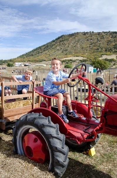pumpkinpatchMatt-5