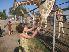 IMG_8654 IMG_8654