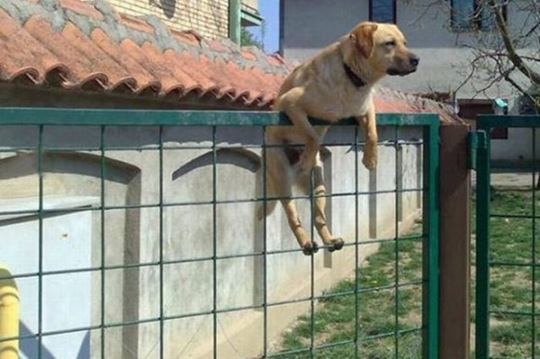 [viral-picdump-472843%255B2%255D.jpg]