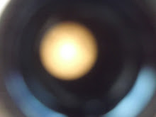 DSCF2213