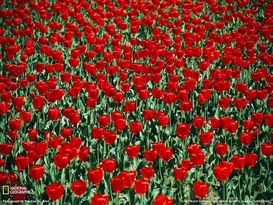 [clip_image017%255B4%255D.jpg]