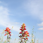 IMG_6800.jpg