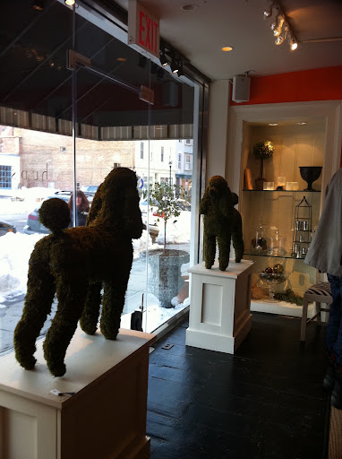 It seemed like almost every store had a dog theme going on!