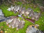 Great Grouse 2010 Great Grouse 2010