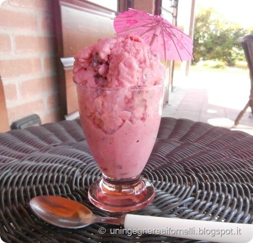 gelato gelatiera susine fragole cioccolato latte kefir gelato gelatiera susine fragole cioccolato latte kefir