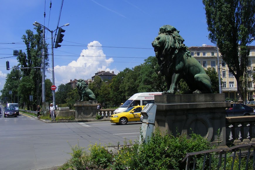 DSCF9134.JPG