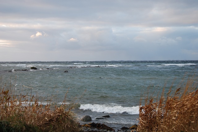 [DSC_5618%255B6%255D.jpg]
