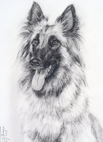 Hond in contè-krijt