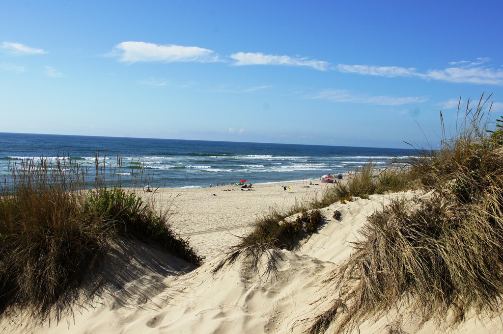 [Gl%25C3%25B3ria%2520Ishizaka%2520-%2520Tocha%2520-%2520%2520praia%2520da%2520Tocha%25207%255B4%255D.jpg]