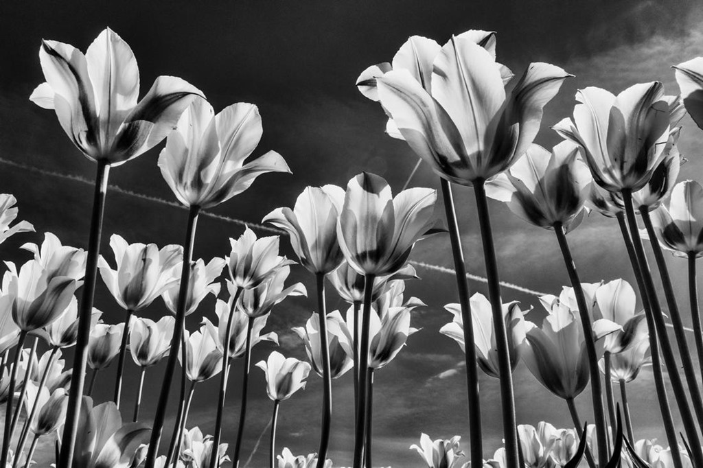 [2013-04-30-09-23-46-28584-Edit%255B4%255D.jpg]