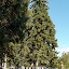 DSC00159.JPG