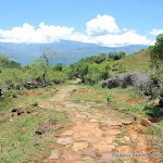 DSC_0908 - Copie.JPG