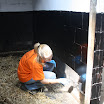 werk week manege 004.JPG