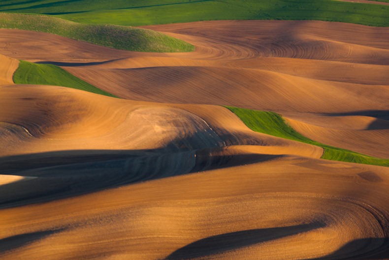 palouse-11