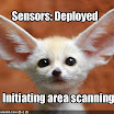 creature-deploys-its-sensors.jpg