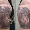 Lion #4