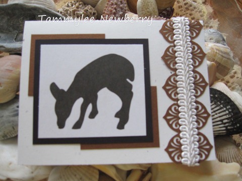 [07252011_Tammylee%255B6%255D.jpg]