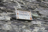 IMG_9268.JPG Photo