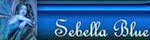 signature (1) signature (1)
