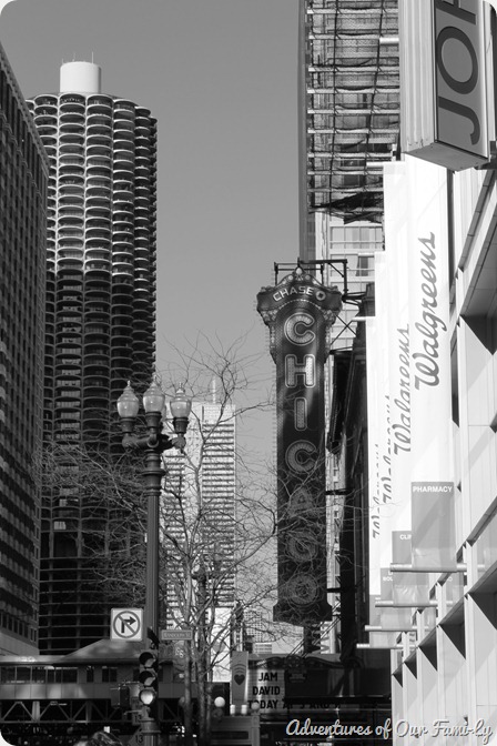 chicago black and white downtown