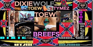 DXE TOEW BREEFS
