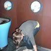 BILD0190.JPG