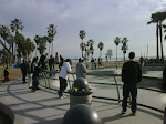 IMG00625-20100129-1511.jpg
